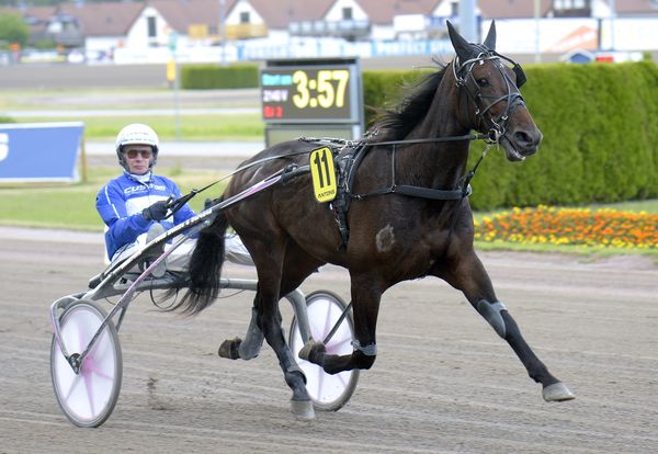 Cockpit View heat (2).jpg