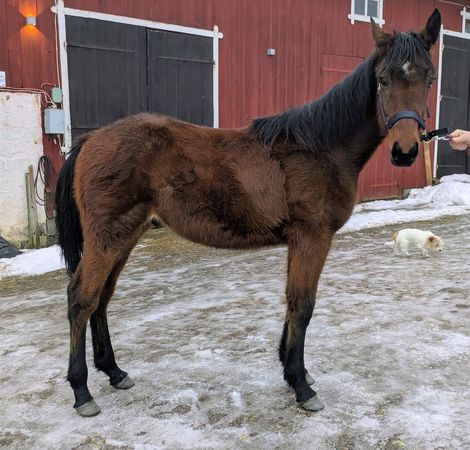 Criminal Art CGbild.jpg