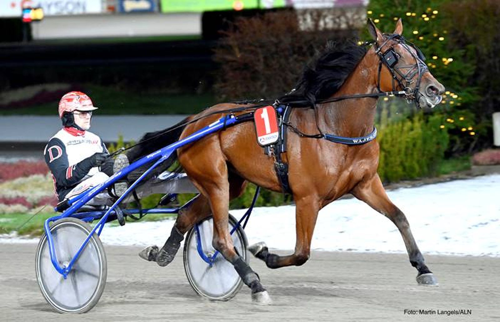 Global Delivery Travera nu global-delivery-travera-nu