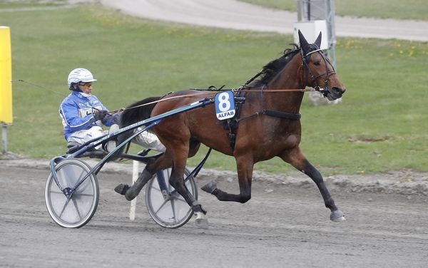 Destino D.J. heat 1.jpg