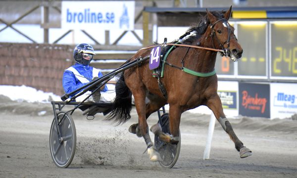 Geisha Road Grif mål.jpg