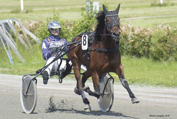 Global Graceland heat.jpeg