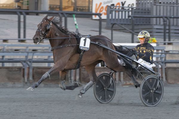 Good Morning SP_74J1632.jpg