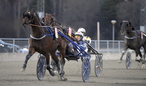 Indigo Brick mål 2.jpg