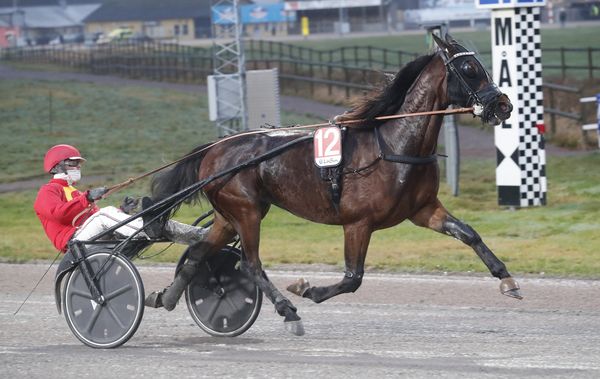 Kudos Kazoo heat 1.jpg