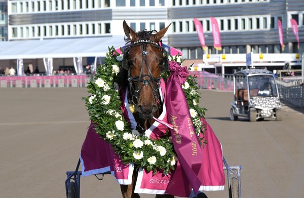 Lookin at Lucky med lagerkrans.jpg