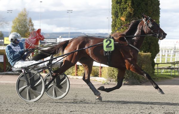 Loved by Global heat 1.jpg