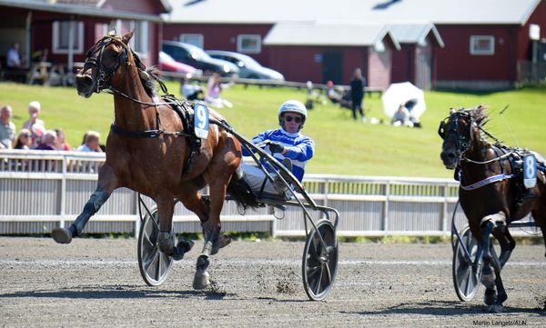 Merillion mål 2.jpg