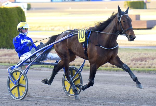 Mumin Mearas heat.jpg