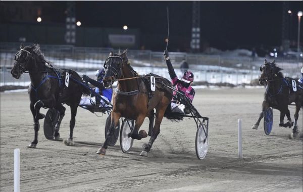 Nooner Gävle (Foto Christer Norin).jpg