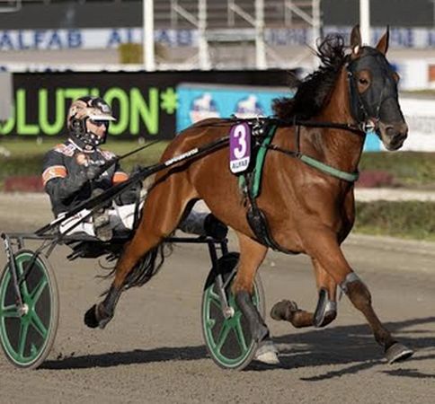 Skärmavbild 2025-12-01 kl. 06.57.54.png