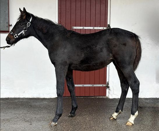 Skärmavbild 2025-12-07 kl. 14.54.49.png