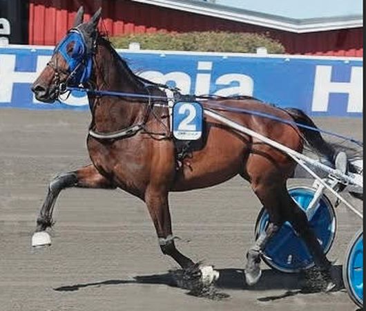 Skärmavbild 2025-12-09 kl. 14.19.20.png