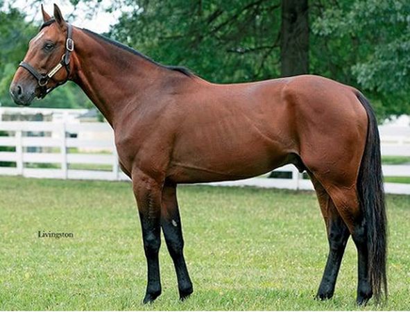 Skärmavbild 2025-12-09 kl. 14.36.40.png