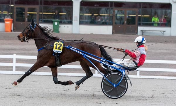 Skärmavbild 2025-12-10 kl. 09.51.26.png