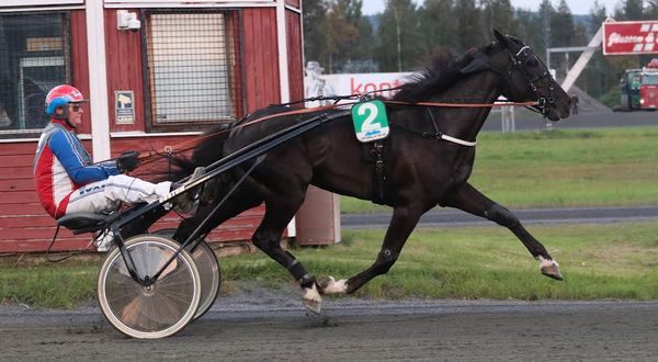 Skärmavbild 2025-12-10 kl. 17.43.53.png