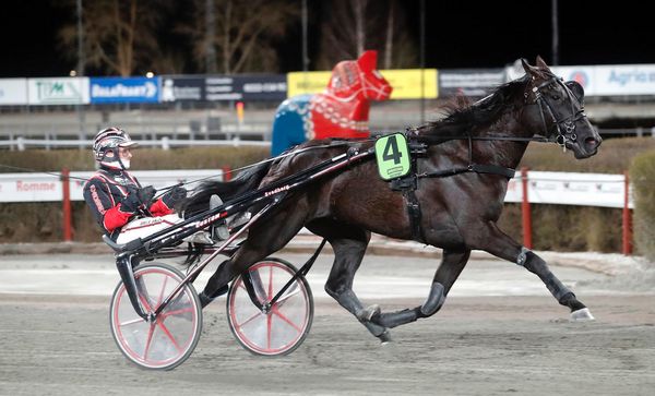 Skärmavbild 2025-12-11 kl. 08.57.25.png