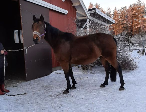 Skjermbilde 2025-12-15 kl. 08.24.44.png