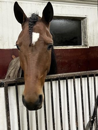 Skjermbilde 2025-12-16 kl. 08.53.46.png