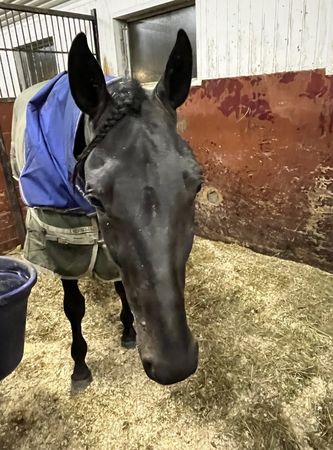 Skjermbilde 2025-12-16 kl. 08.53.52.png