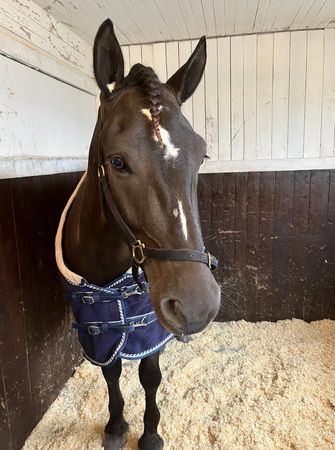 Skjermbilde 2025-12-16 kl. 08.53.58.png