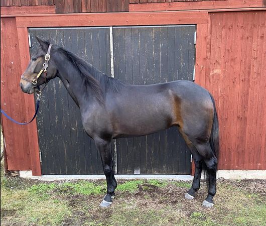 Skjermbilde 2025-12-16 kl. 14.39.34.png