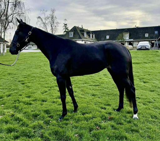 Skjermbilde 2025-12-16 kl. 14.40.42.png