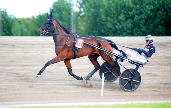 Treasure Tile heat.jpg