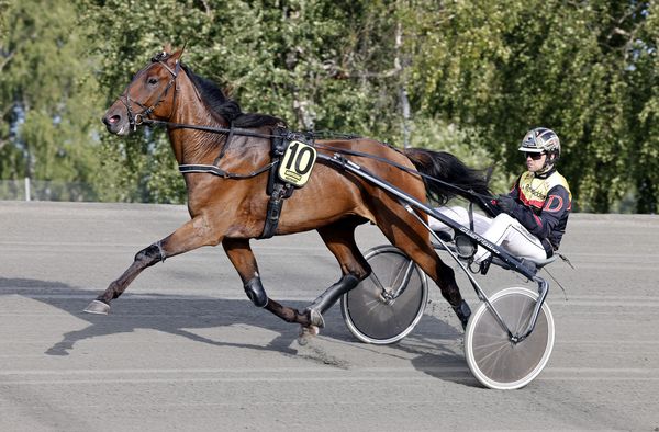 True North heat 1.jpg