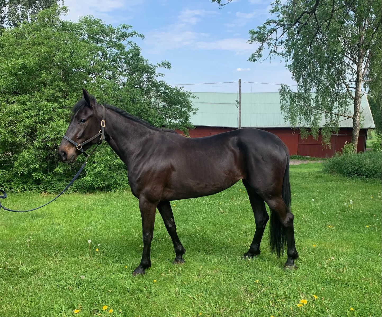 Unique Doc – Travera.nu