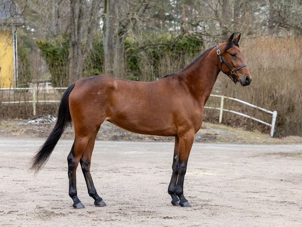 Västerbo Elle mars 26 -upp.jpg