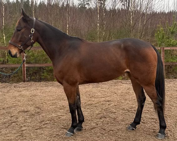 WhatsApp Image 2025-12-04 at 11.42.39 (1).jpeg