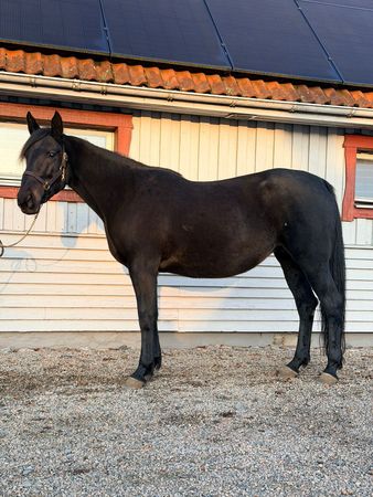 WhatsApp Image 2026-01-20 at 18.50.54.jpeg