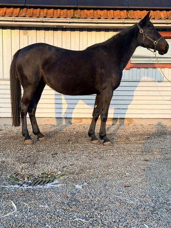 WhatsApp Image 2026-01-20 at 18.51.00.jpeg