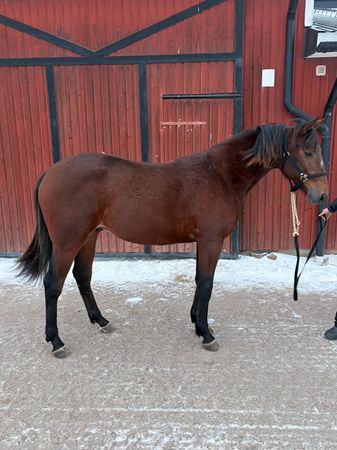 WhatsApp Image 2026-01-23 at 06.00.31.jpeg