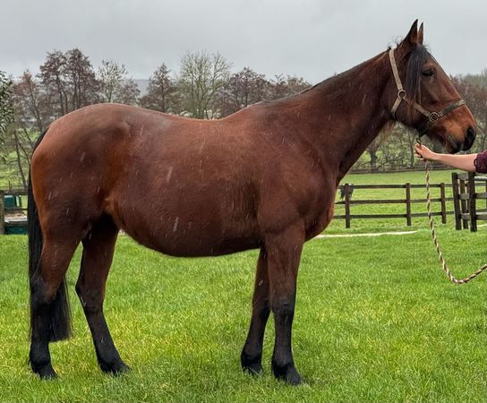 WhatsApp Image 2026-02-13 at 15.37.05.jpeg