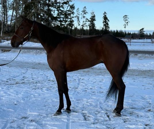 WhatsApp Image 2026-02-13 at 16.47.10.jpeg