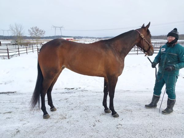 WhatsApp Image 2026-02-17 at 19.03.32 (4).jpeg