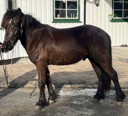 WhatsApp Image 2026-03-09 at 20.13.08.jpeg