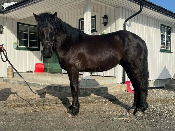 WhatsApp Image 2026-03-09 at 20.13.54.jpeg