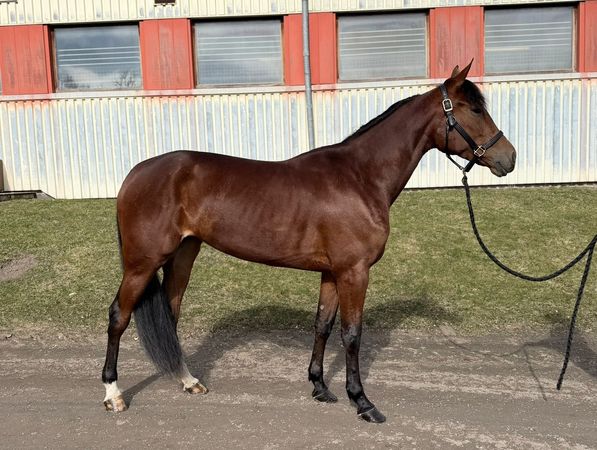 WhatsApp Image 2026-03-31 at 12.06.53 (3).jpeg