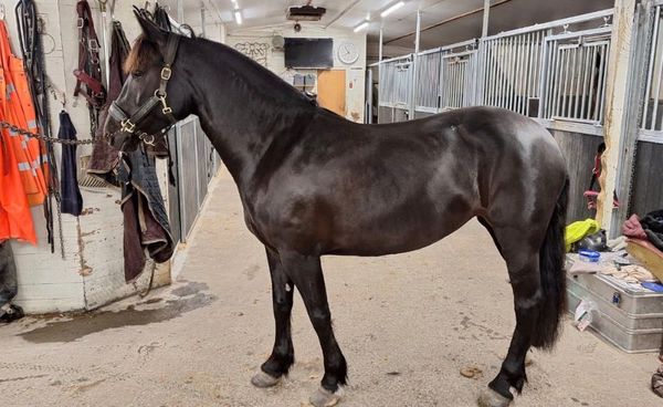 WhatsApp Image 2026-03-31 at 12.53.37.jpeg