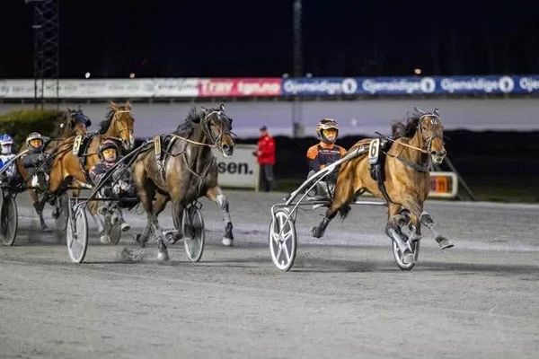 WhatsApp Image 2026-04-28 at 07.55.08.jpeg