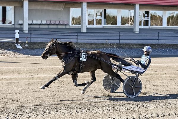 WhatsApp Image 2026-04-28 at 12.26.02.jpeg