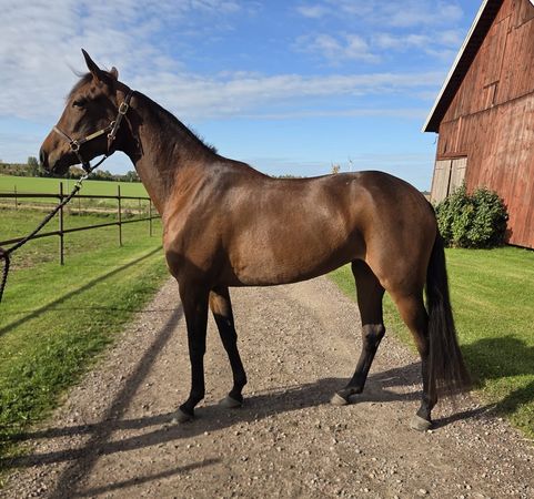 WhatsApp Image 2026-10-07 at 17.33.56.jpeg