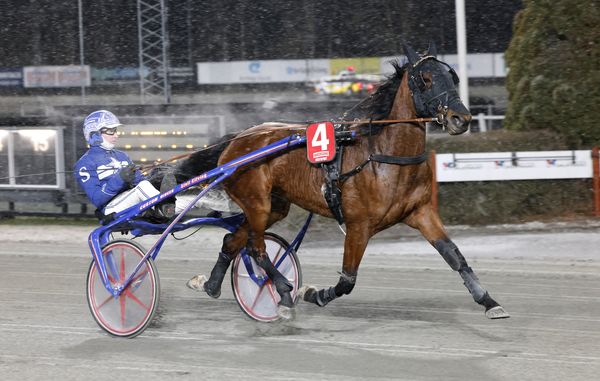 Zsa Zsa Nova heat 1 .jpg