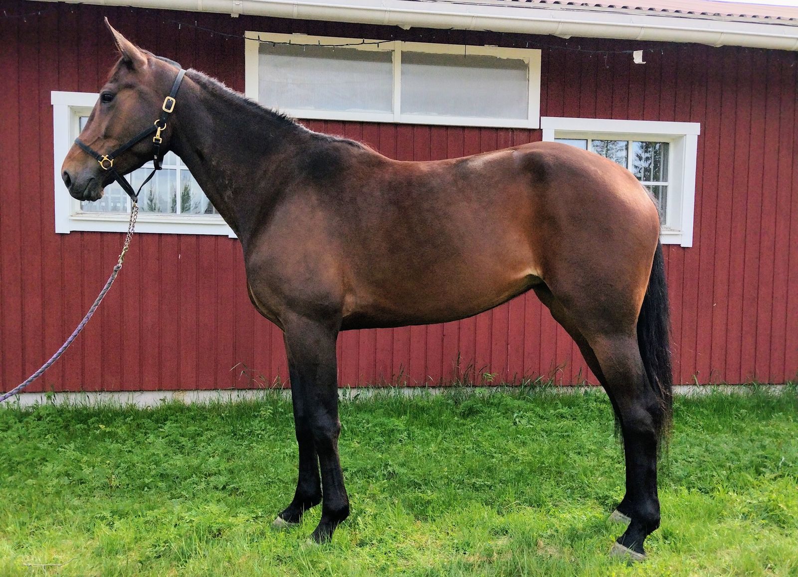 Level Off – Travera.nu