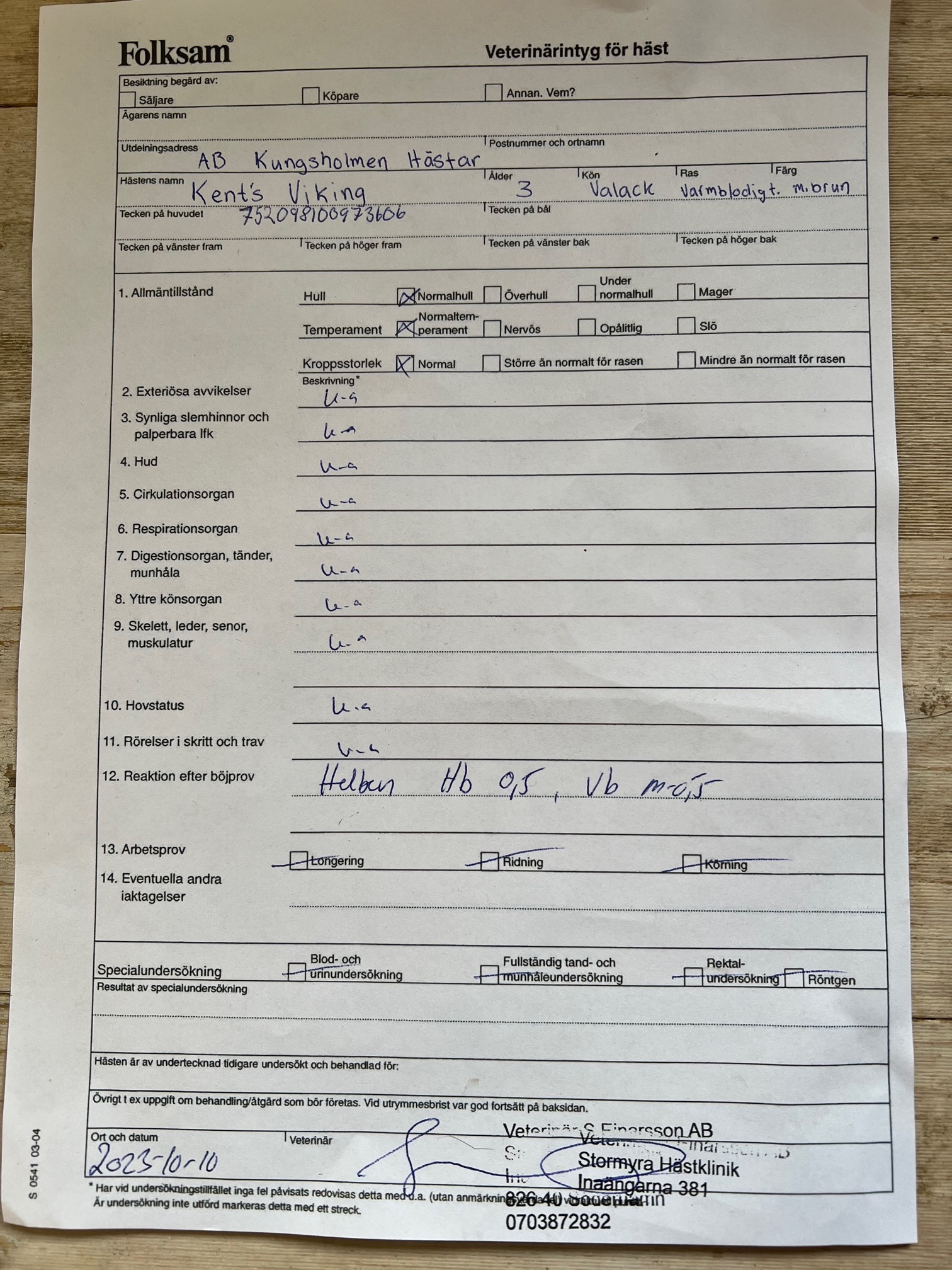 Kent's Viking Travera.nu